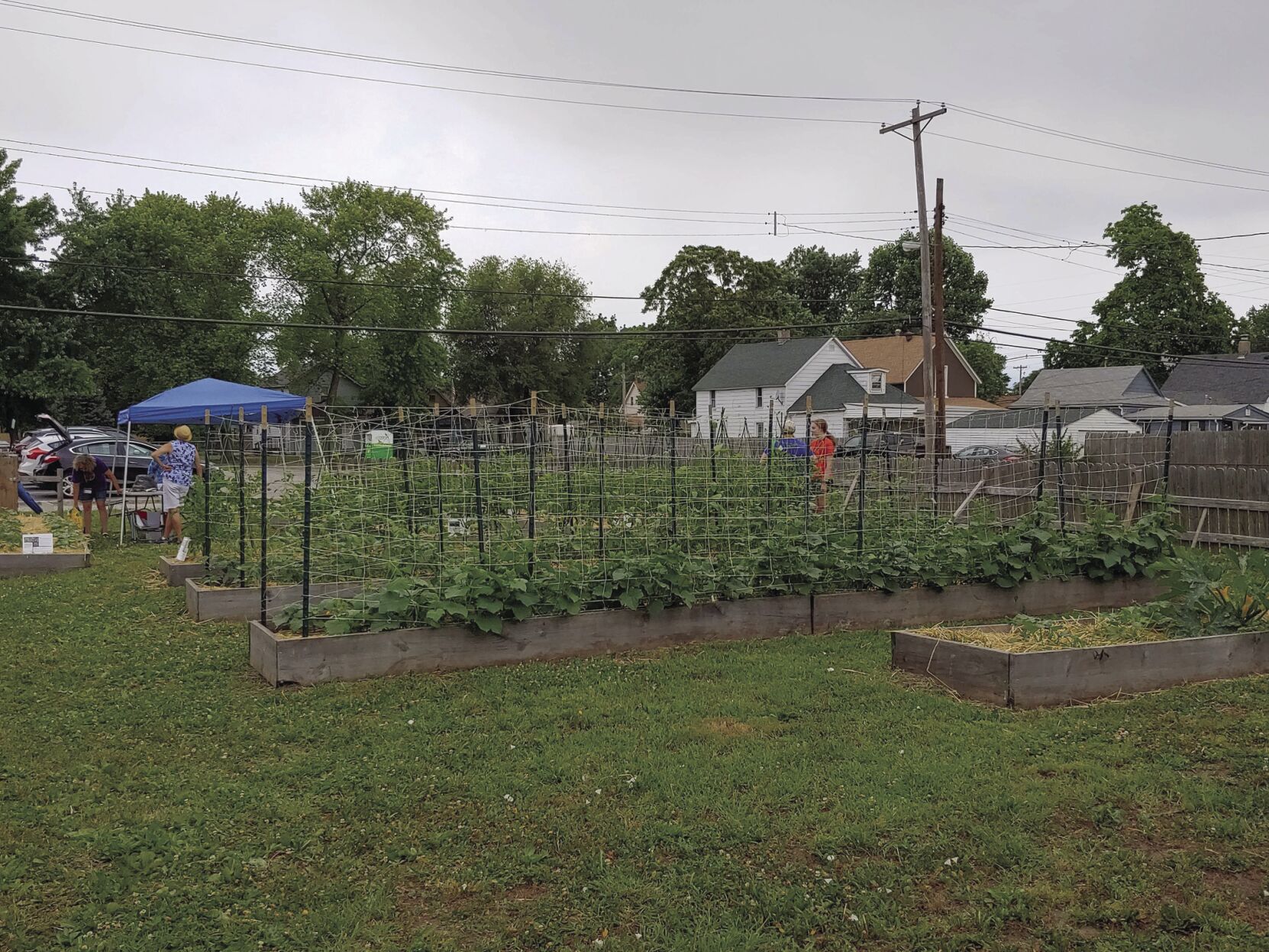 Granite City Cool Cities Committee Community Garden 1